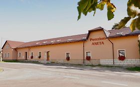 Penzion Aneta